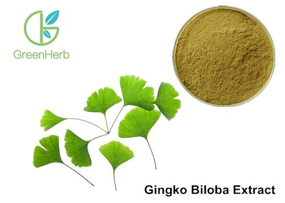 Low Ginkgolic Acid Ginkgo Biloba Leaf Extract Powder For Dilate Blood Vessels