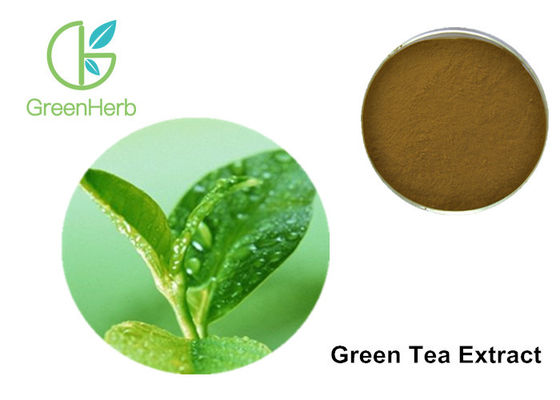 Egcg Green Tea Extract Weight Loss 40%  EGCG Brown Yellow Powder