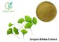 High Purity Ginkgo Biloba Leaf Extract Powder Anti - Hypoxia Effect