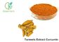 95% Curcumin Natural Food Pigments Turmeric Root Extract Anti Inflammatory