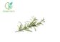Herb Extract Natural Rosemary Leaf Extract Powder 5% Rosmarinic Acid