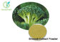 Natural Broccoli Extract Powder / Freeze Dried Broccoli Sprout Extract Powder
