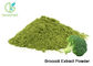 Natural Broccoli Extract Powder / Freeze Dried Broccoli Sprout Extract Powder