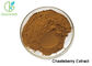 Brown Yellow Plant Extract Powder Chasteberry Extract Pharmaceutical Raw Materials