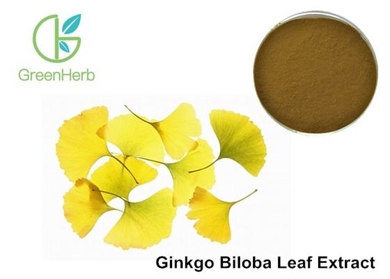 Ginkgo Biloba Blood Circulation 24٪ Flavone Glycosides Powder Brown پودر قهوه ای