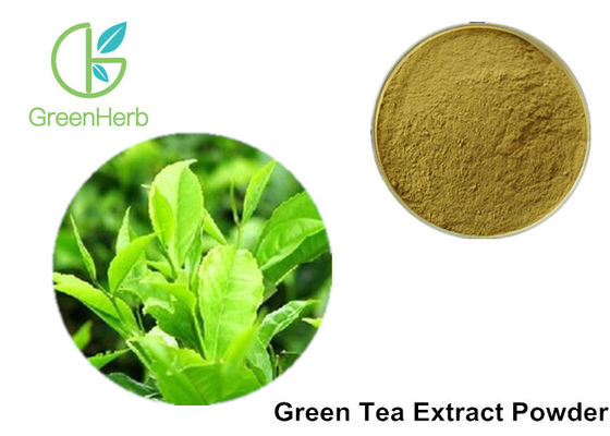 100٪ پودر عصاره چای سبز ضد باکتری برای لوازم آرایشی / مواد غذایی