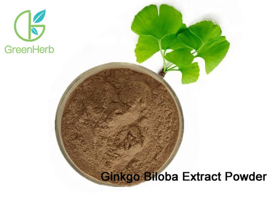 100٪ Natural Ginkgo Biloba Leaf Extract Powder Dilate Blood Vessels